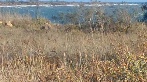 Apartment to rent in Avenida Almerimar, 276, Almerimar, Almería - image 5 Photo 5 of Apartment to rent in Avenida Almerimar, 276, Almerimar, Almería