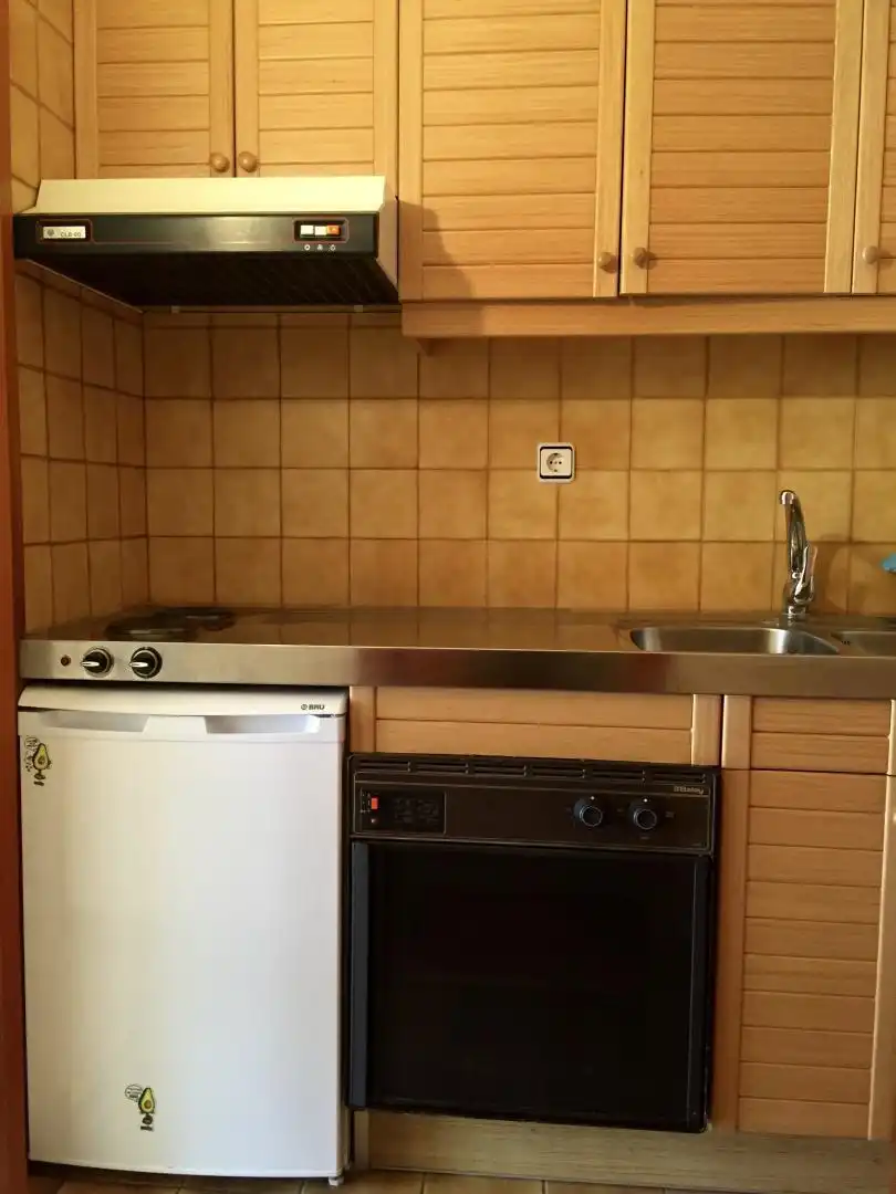 Cuina de Loft de lloguer en Alp amb Calefacció, Parquet i Moblat