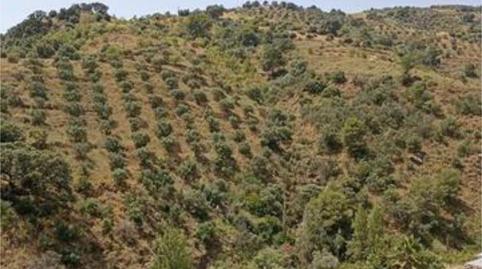 Photo 3 of House or chalet for sale in El Rescate - Río Seco, Granada