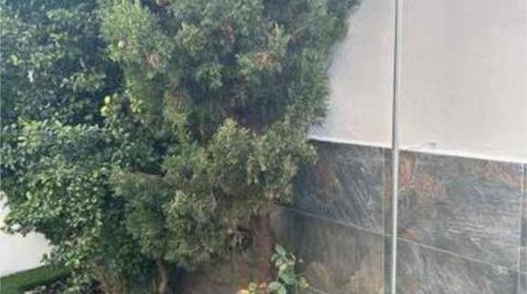 Foto 2 de Loft per a compartir a Tarifa ciudad, Cádiz