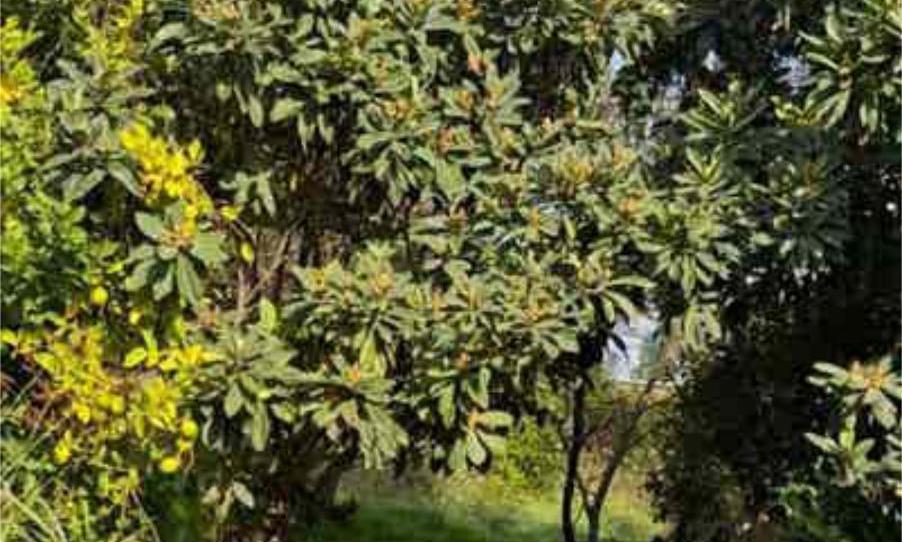Casa adosada en venda a Beniaján, Murcia Capital - imatge 1 Foto 1 de Casa adosada en venda a Beniaján, Murcia Capital