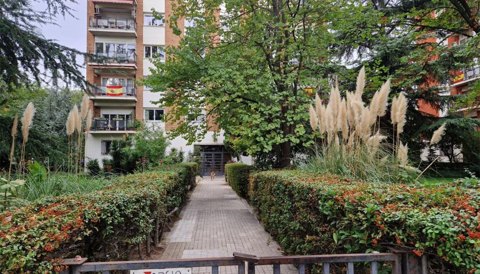 Photo 1 of Flat for sale in Paseo de la Castellana, 223, Almenara -Ventilla, Madrid