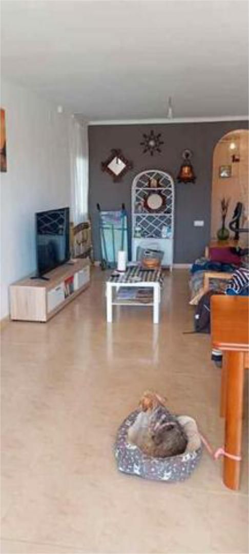 Living room of Flat for sale in Torrelles de Foix  with Terrace and Swimming Pool