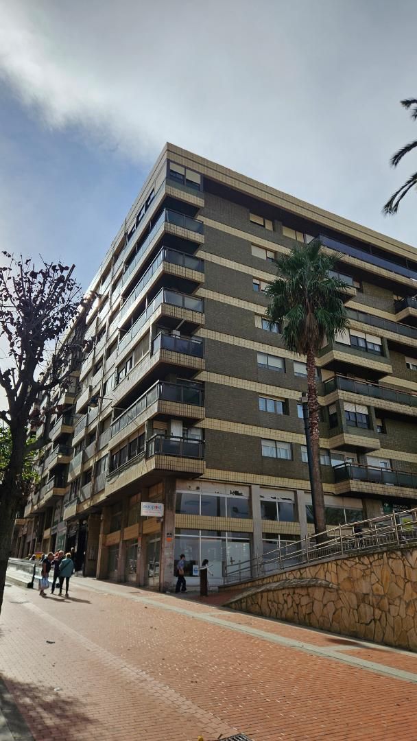 Exterior view of Flat to rent in Barakaldo   with Heating, Parquet flooring and Furnished