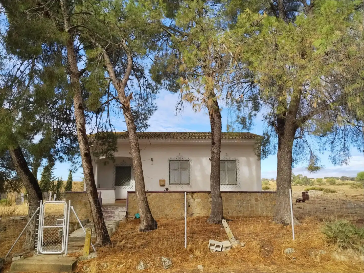 Vista exterior de Finca rústica en venta en Gerena