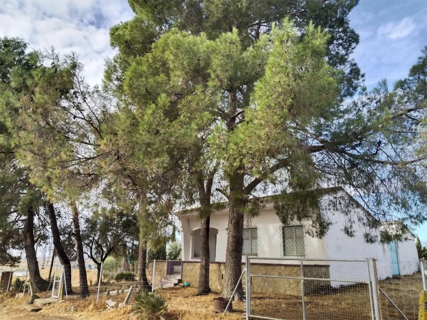 Vista exterior de Finca rústica en venta en Gerena