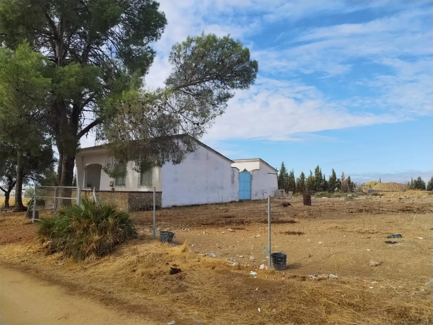 Vista exterior de Finca rústica en venta en Gerena