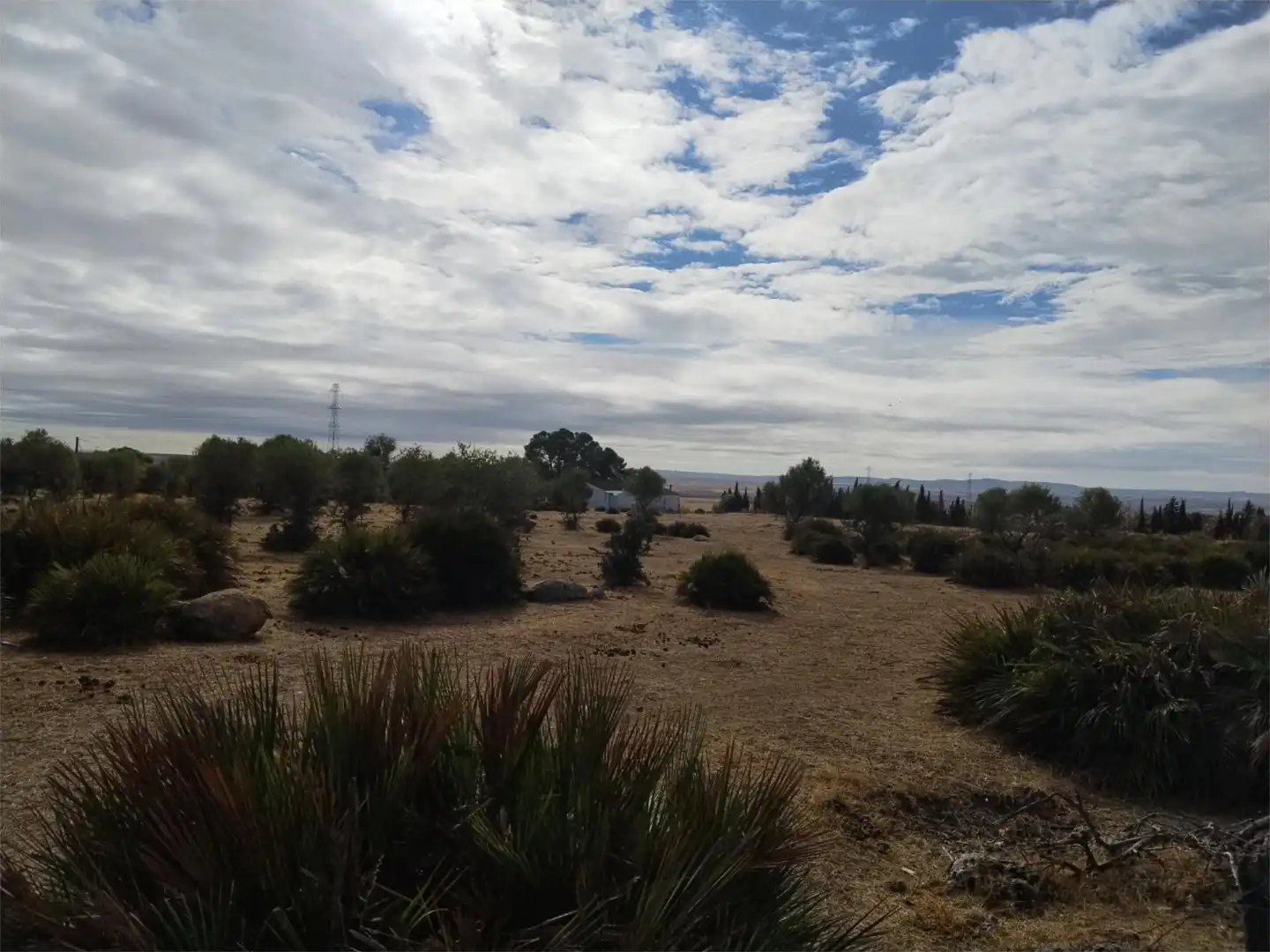 Finca rústica en venta en Gerena