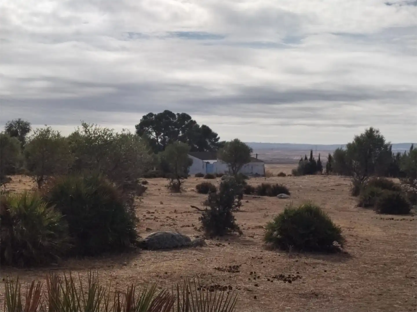 Finca rústica en venta en Gerena