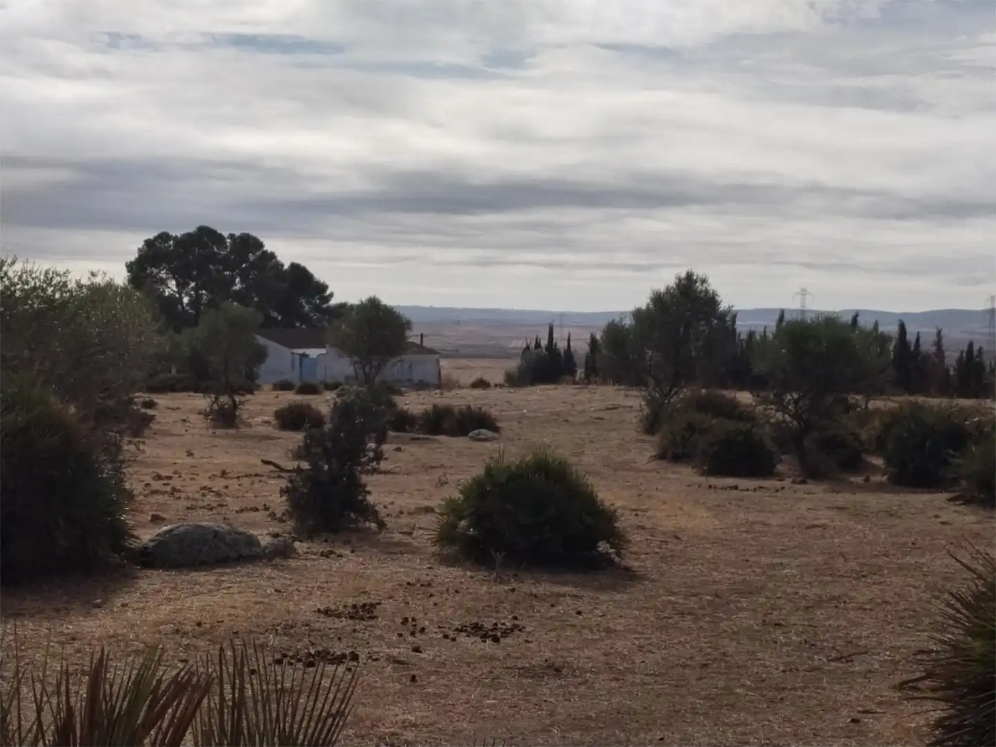 Finca rústica en venta en Gerena