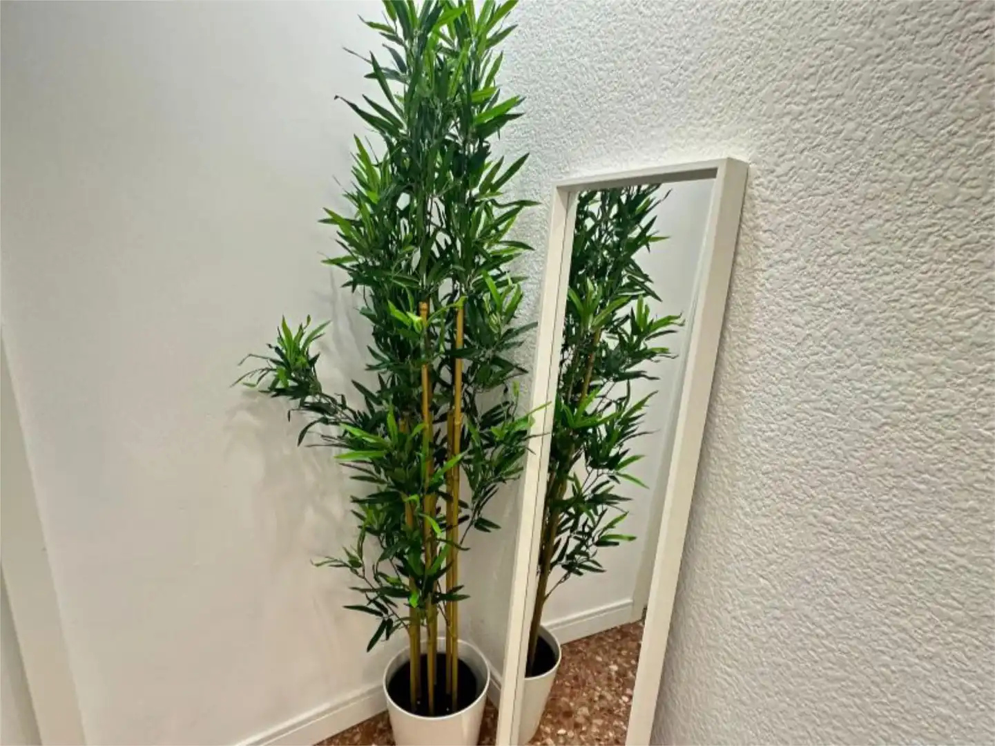 Jardín de Piso para compartir en Valencia con Aire acondicionado, Calefacción y Terraza