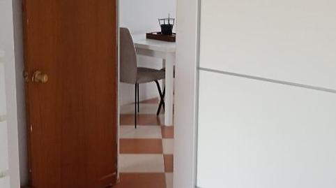 Loft to share in Calle Trille, 13d, Paseo Marítimo - San José - La Laguna, Cádiz - image 4 Photo 4 of Loft to share in Calle Trille, 13d, Paseo Marítimo - San José - La Laguna, Cádiz