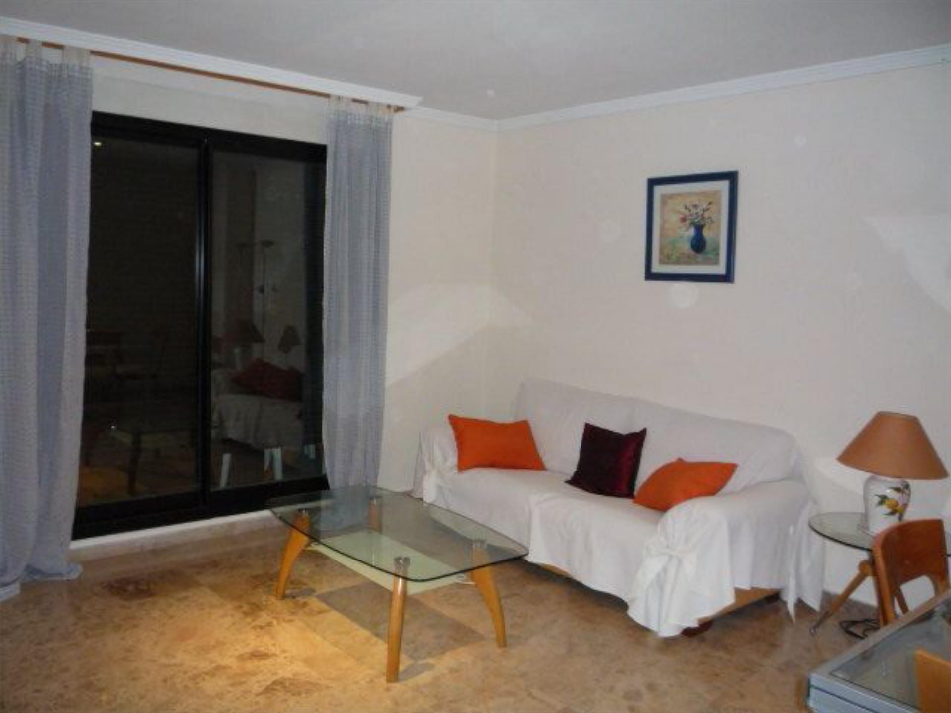 Living room of Flat to rent in  Valencia Capital