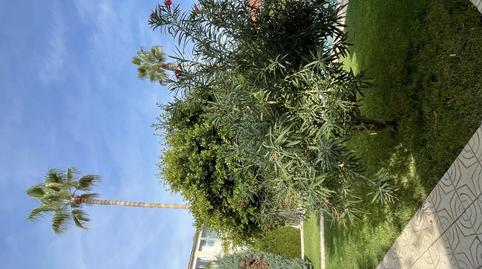 Foto 4 de Casa adosada en venta en Carrer de la Boga, 6, Cabo de las Huertas, Alicante