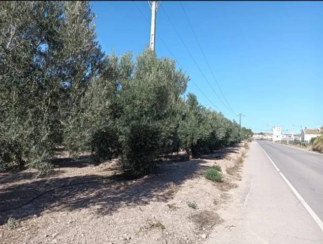 Terreno en Venta en Carretera los Pozos, 2 en Huércal-Overa