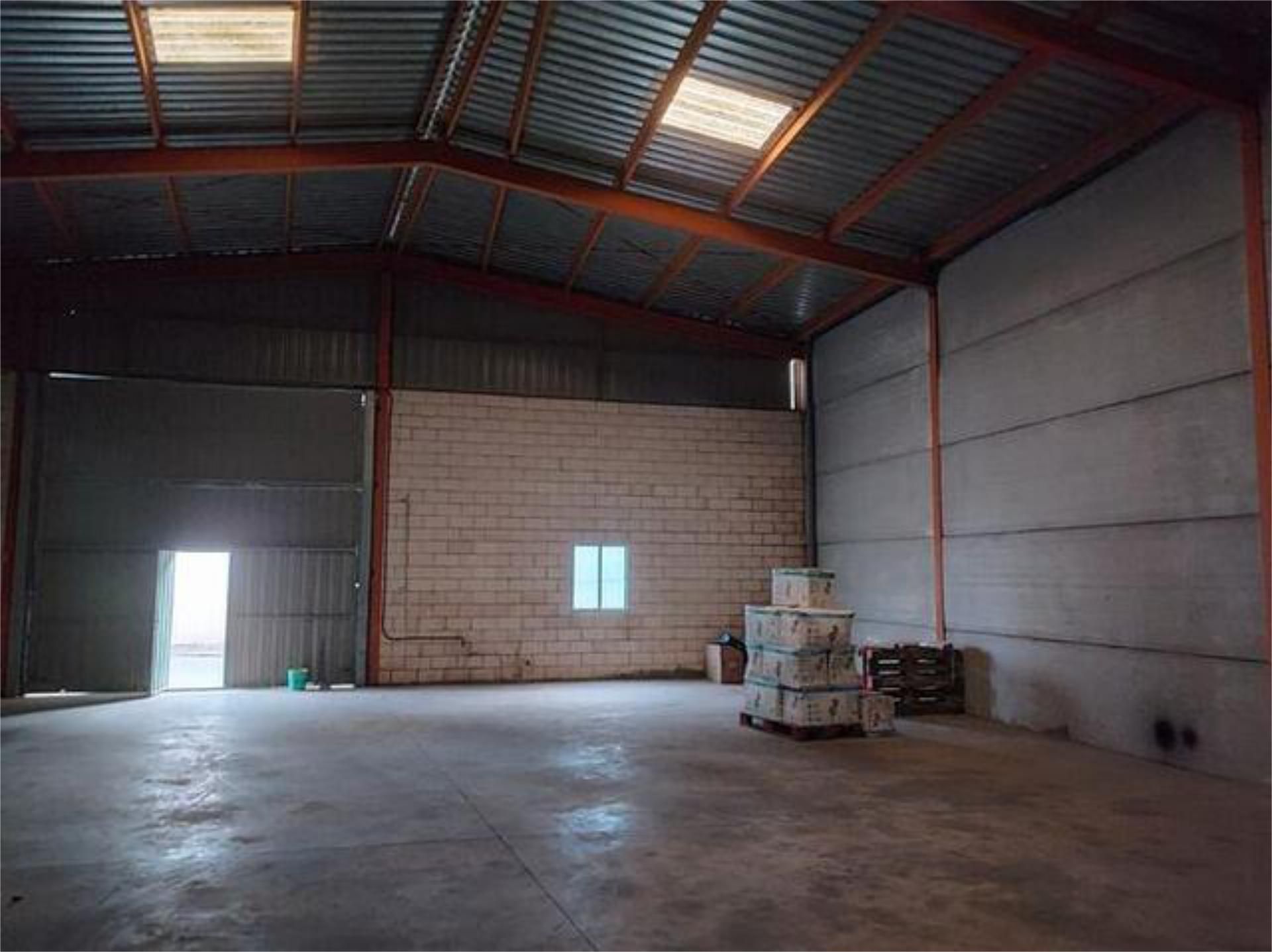Nau industrial de lloguer en La Palma del Condado