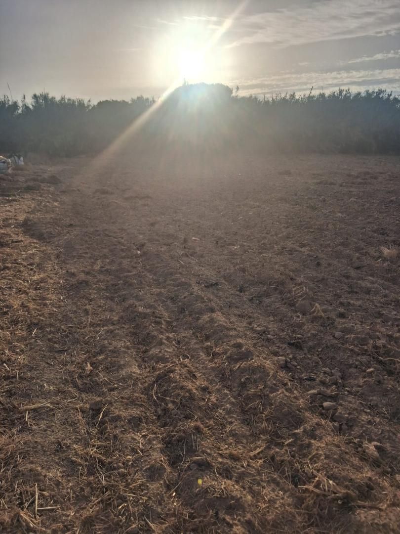 Finca rústica en venda en Isla Cristina