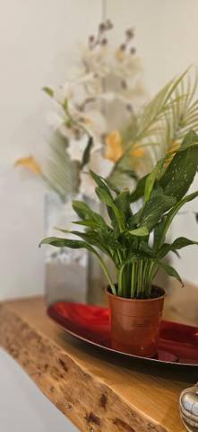 Piso en Venta en Calle Cueva de la Pileta, 1 en Urbadiez - Entrepuentes