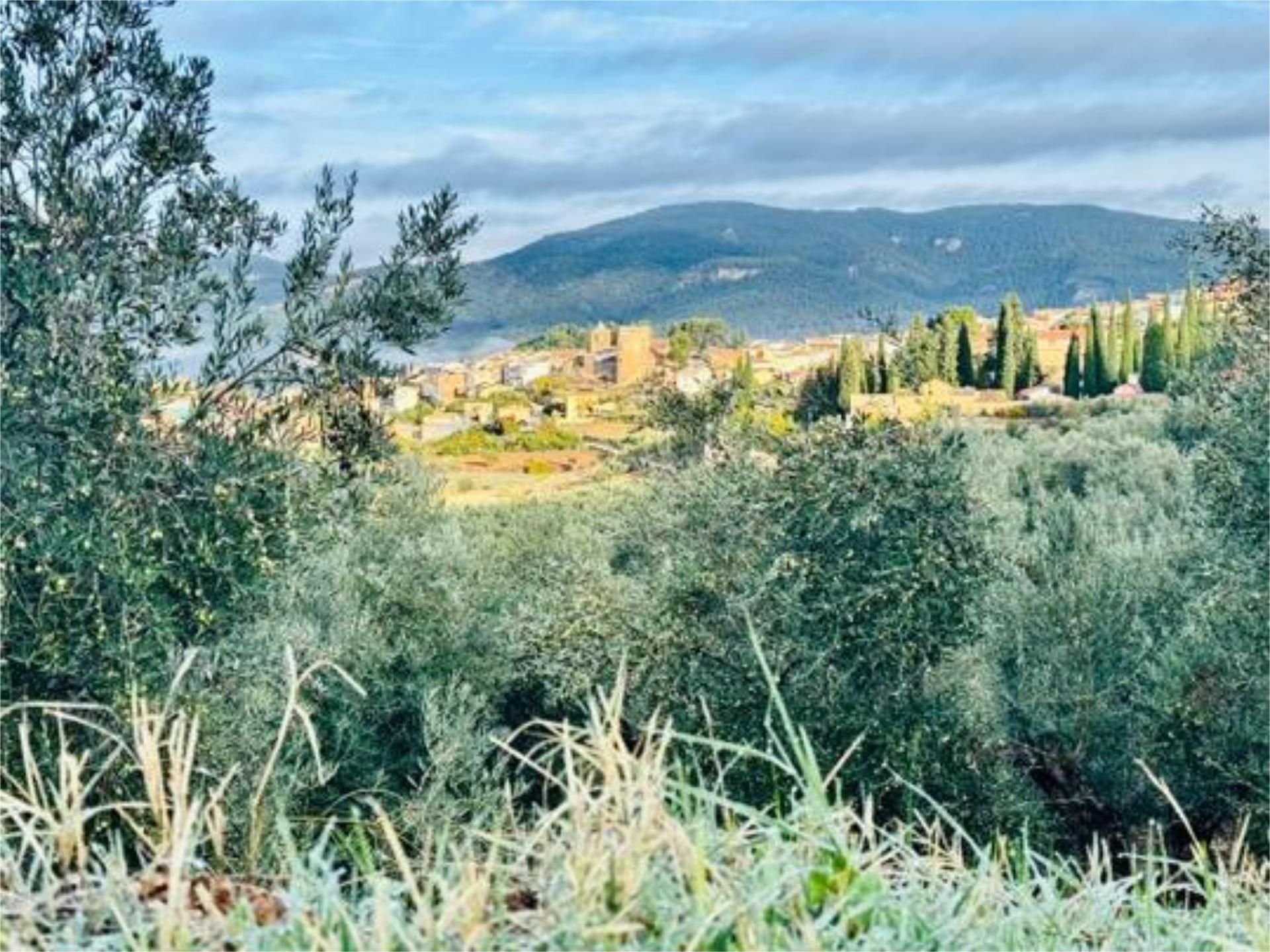 House or chalet to rent in Siles