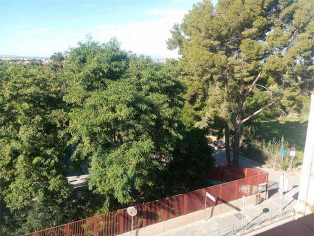 Piso en Alquiler en Algezares