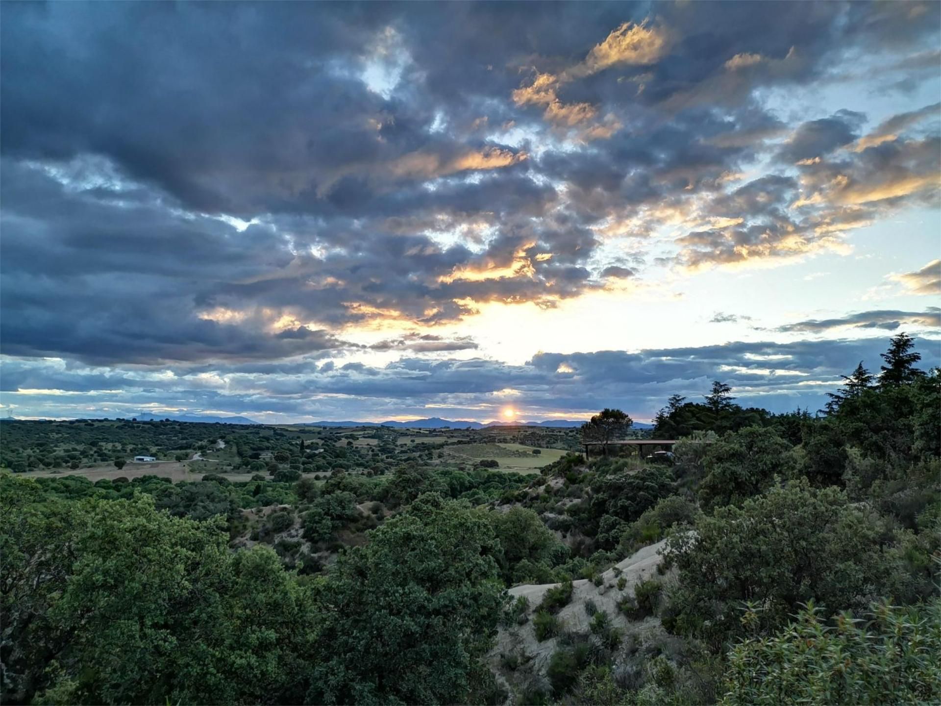 Casa o xalet en venda a Calle Turia, 38, El Bosque Vista exterior de Casa o xalet en venda en Villaviciosa de Odón amb Aire condicionat, Piscina i Balcó