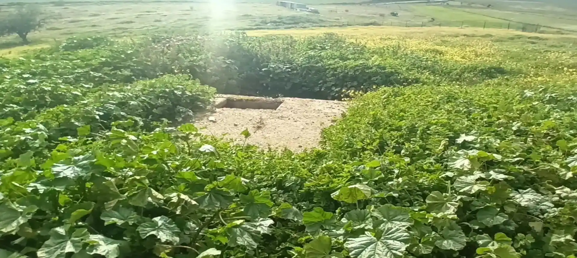 Terreno en venta en Medina de las Torres