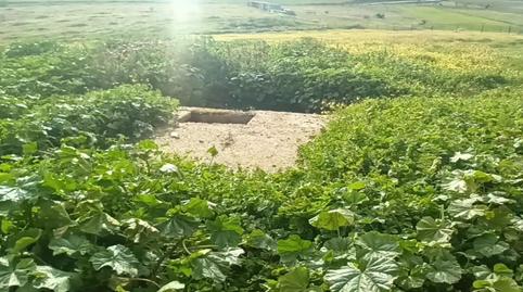 Foto 3 de Terreny en venda a Calle Derecha, 13, Medina de las Torres, Badajoz