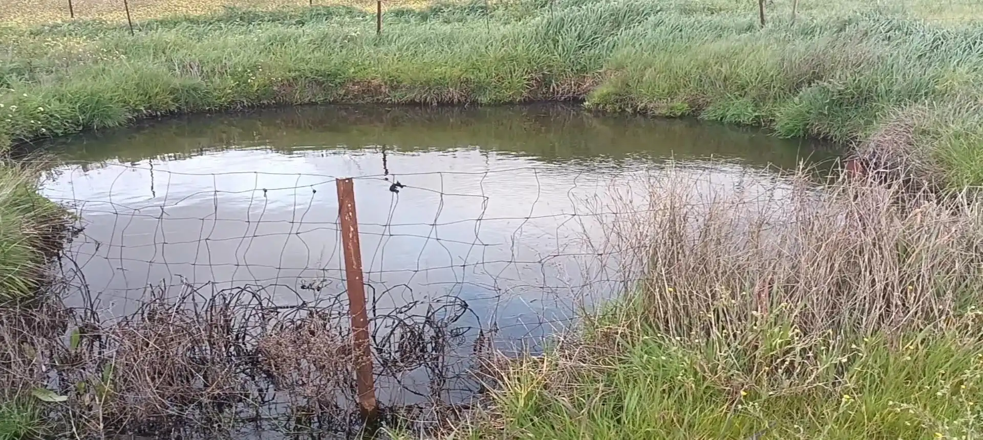 Terreno en venta en Medina de las Torres