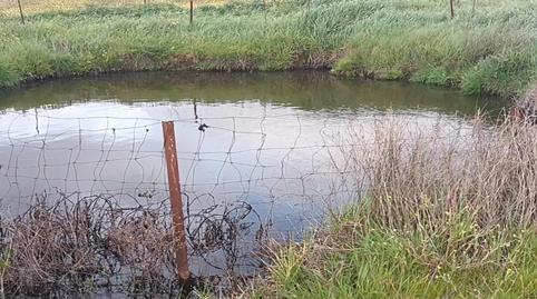 Foto 4 de Terreny en venda a Calle Derecha, 13, Medina de las Torres, Badajoz