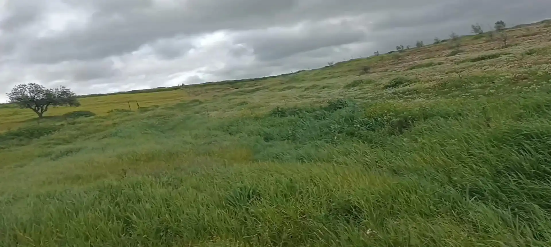 Terreno en venta en Medina de las Torres