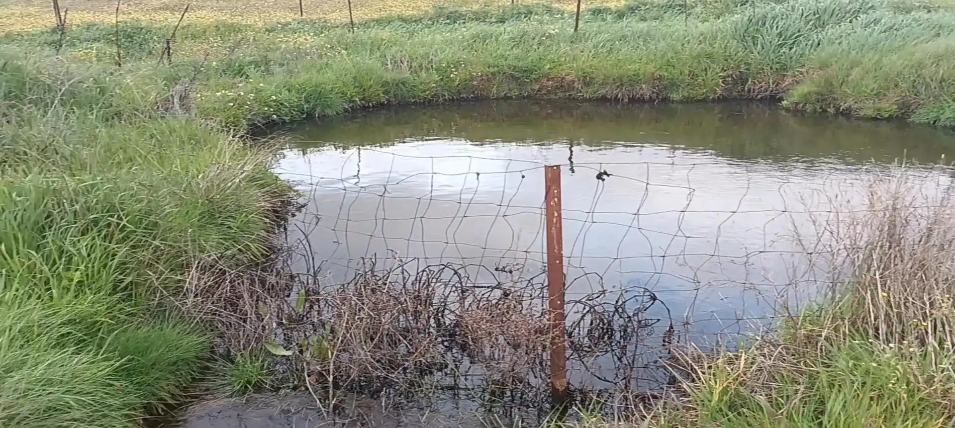 Terreno en venta en Medina de las Torres