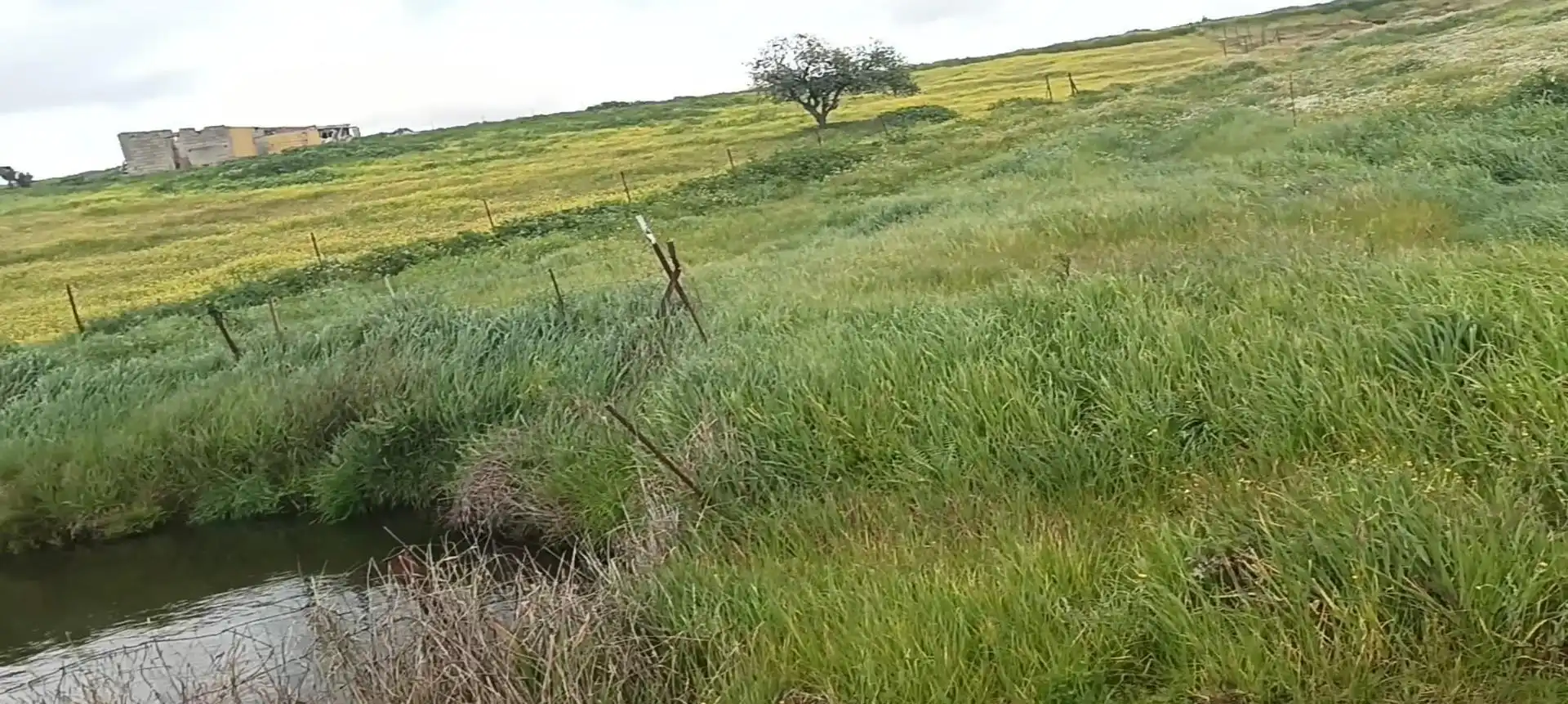 Terreno en venta en Medina de las Torres