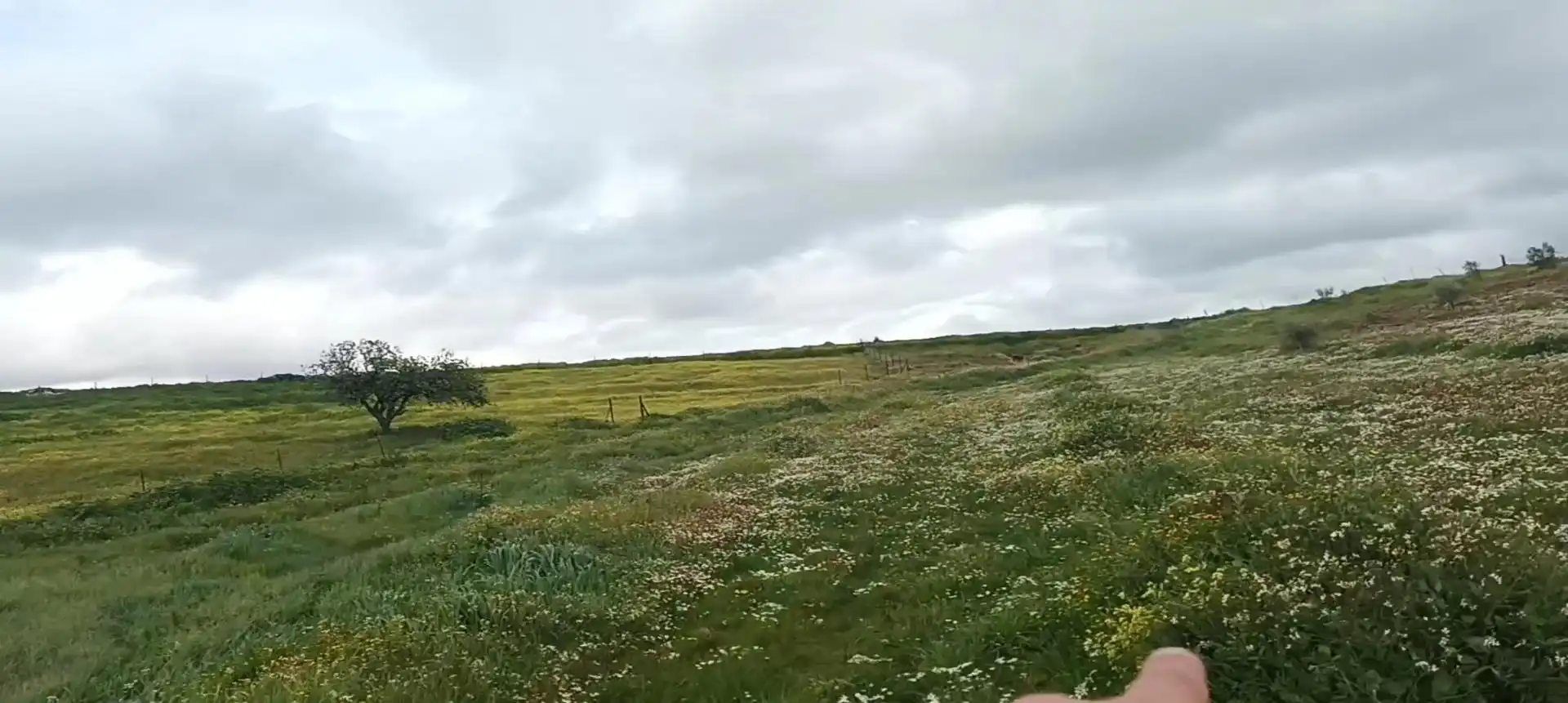 Terreno en venta en Medina de las Torres