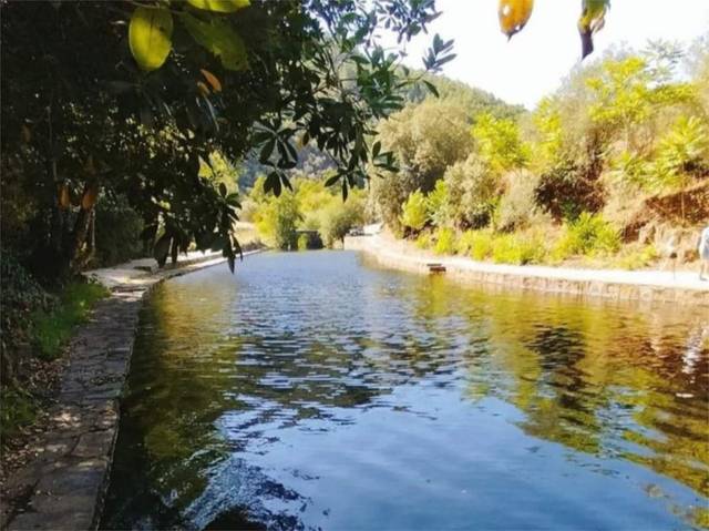 Casa adosada en Venta en Carretera de Ladrillar, 32 en Ladrillar