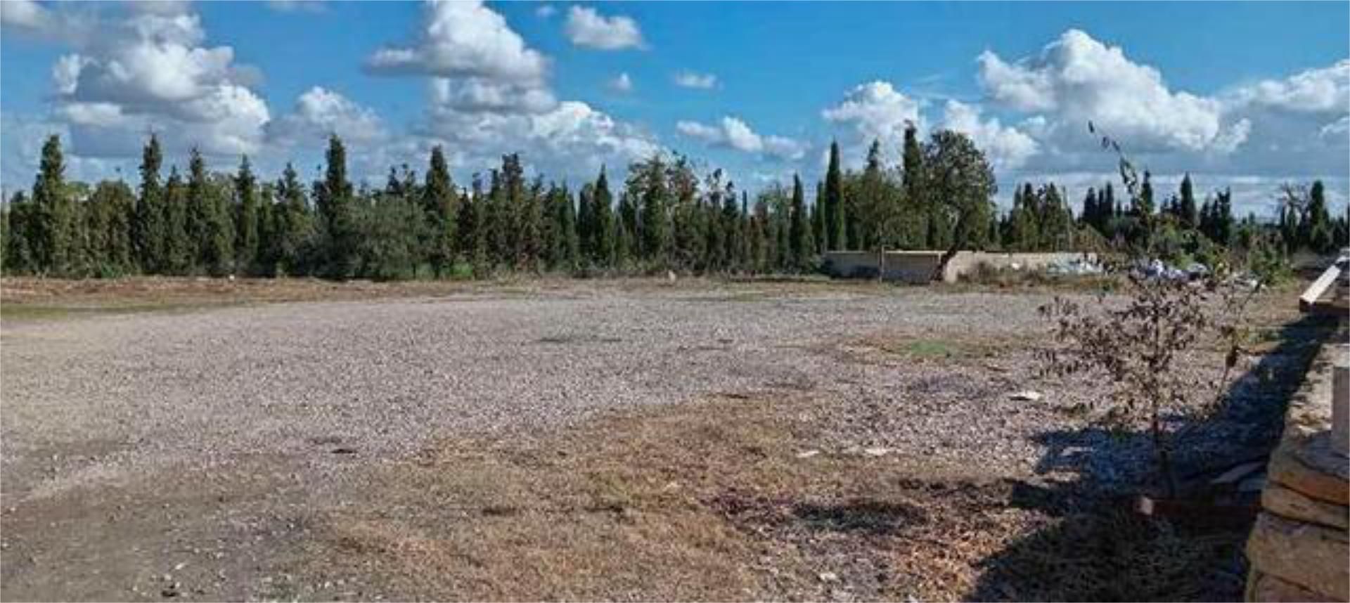 Industrial buildings to rent in  Palma de Mallorca