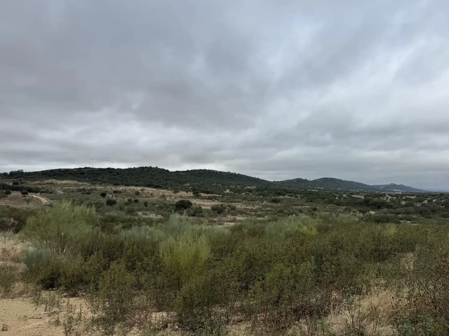 Grundstücke zum Verkauf in Alburquerque