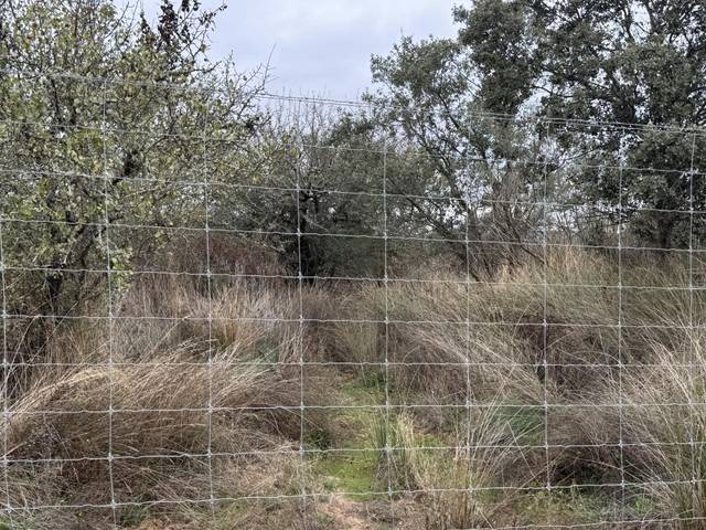 Terreno en Venta en Carretera San Vicente de Alcanta, 2A en Alburquerque