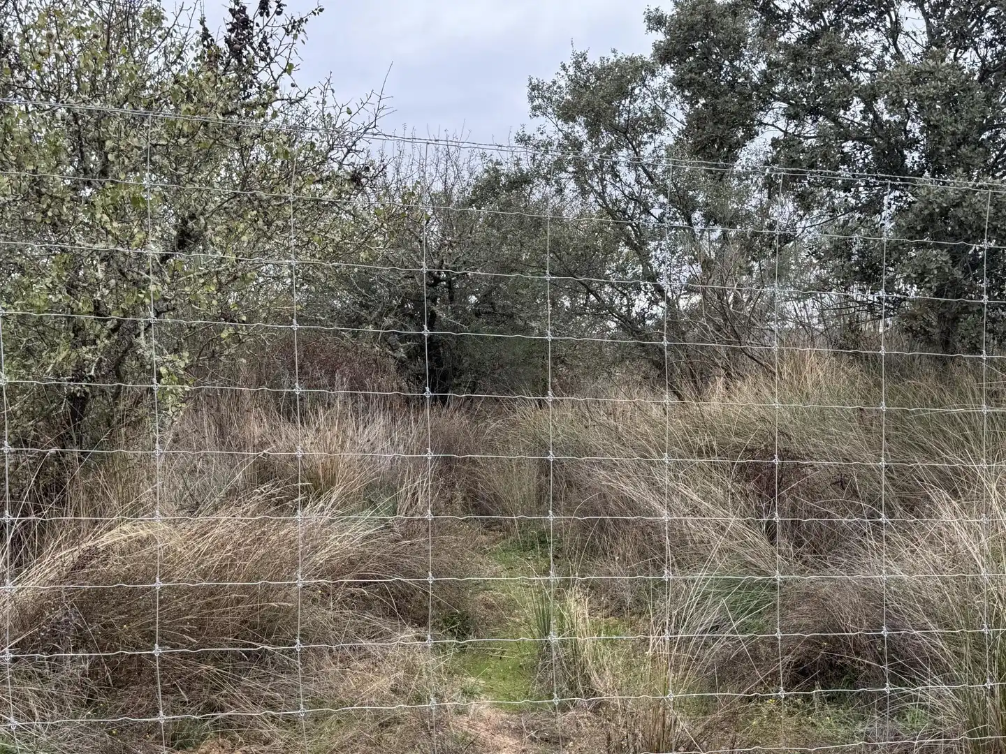 Grundstücke zum Verkauf in Alburquerque