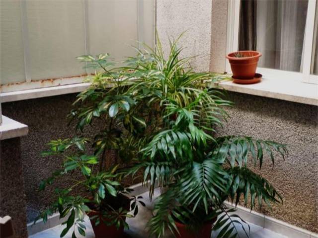 Piso en Venta en Calle Acera del Conde, 32 en Campanario