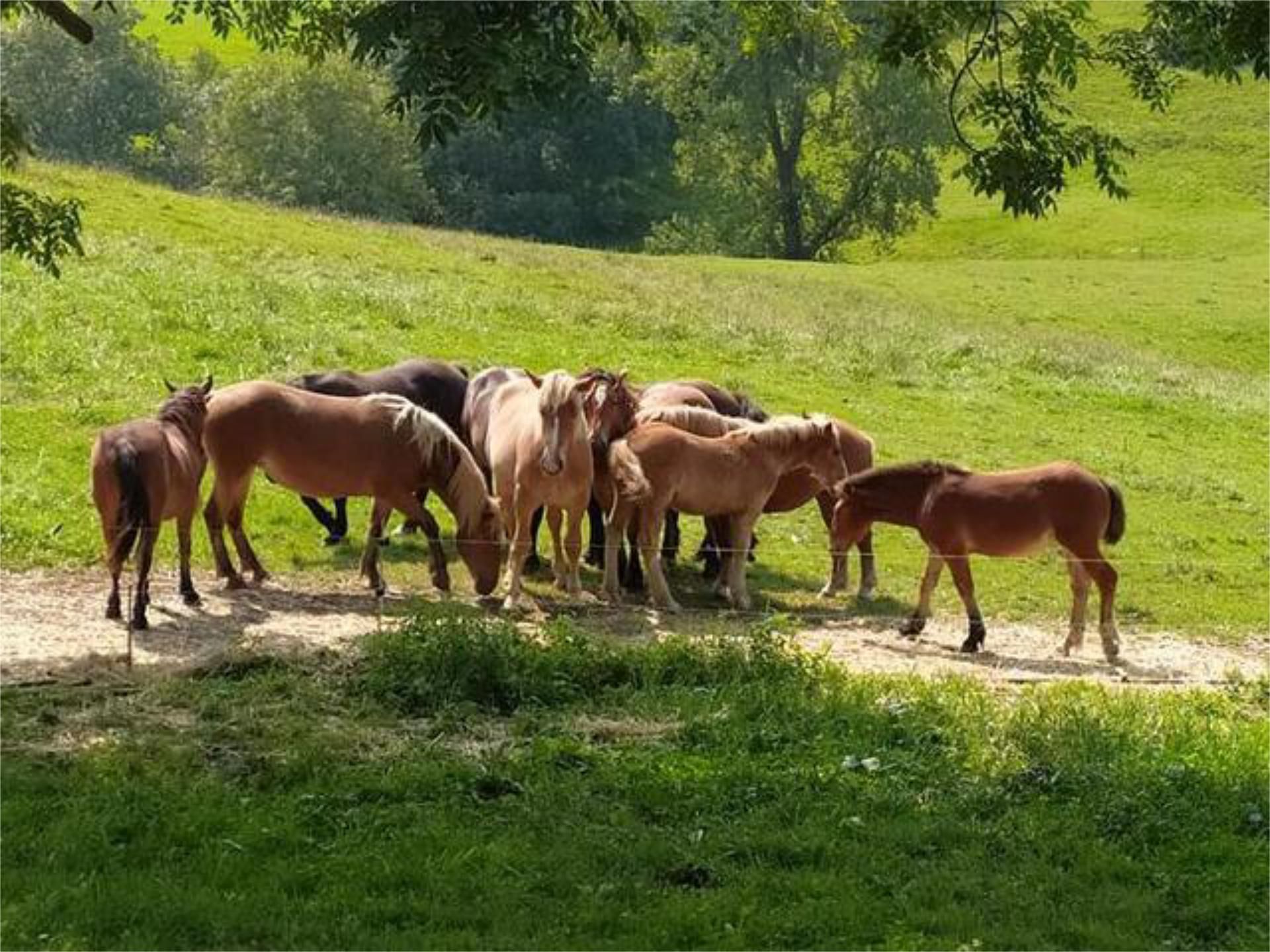 Casa o xalet en venda a Ensanche - Moyua - Diputación Vista exterior de Casa o xalet en venda en Bilbao