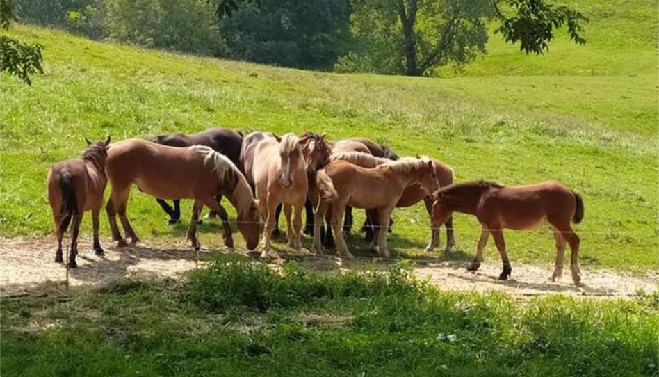 Casa o xalet en venda a Ensanche - Moyua - Diputación, Bizkaia - imatge 1 Foto 1 de Casa o xalet en venda a Ensanche - Moyua - Diputación, Bizkaia