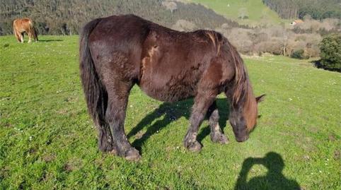 Casa o xalet en venda a Ensanche - Moyua - Diputación, Bizkaia - imatge 2 Foto 2 de Casa o xalet en venda a Ensanche - Moyua - Diputación, Bizkaia