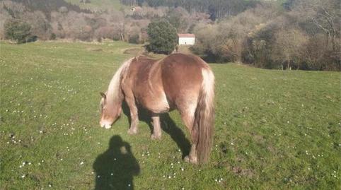 Casa o xalet en venda a Ensanche - Moyua - Diputación, Bizkaia - imatge 3 Foto 3 de Casa o xalet en venda a Ensanche - Moyua - Diputación, Bizkaia