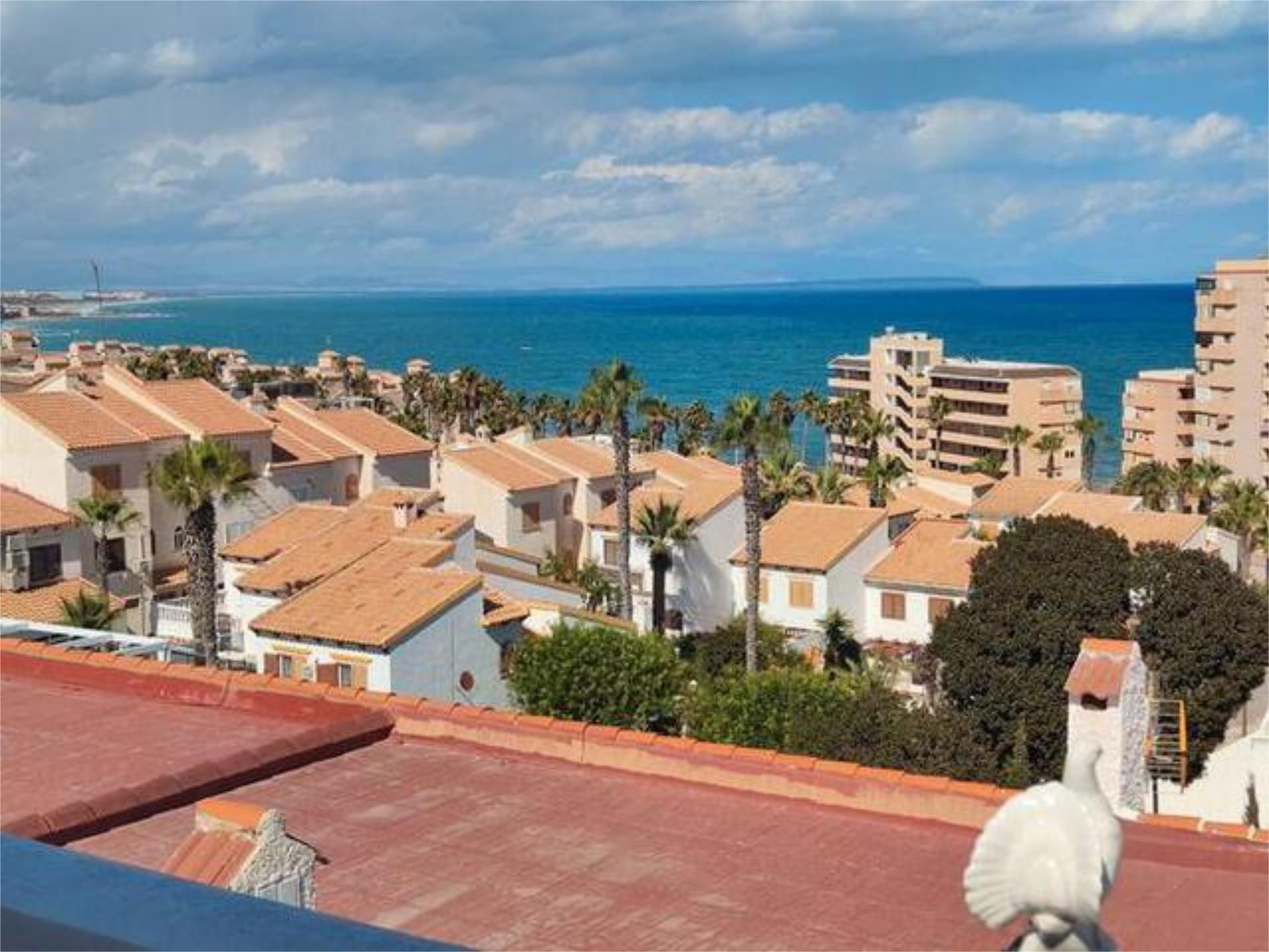 Vista exterior de Casa adosada de lloguer en Torrevieja amb Jardí privat, Terrassa i Traster