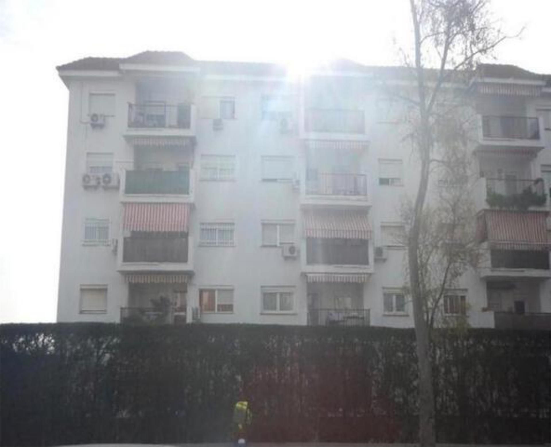 Exterior view of Flat to rent in Mairena del Aljarafe  with Private garden, Terrace and Swimming Pool