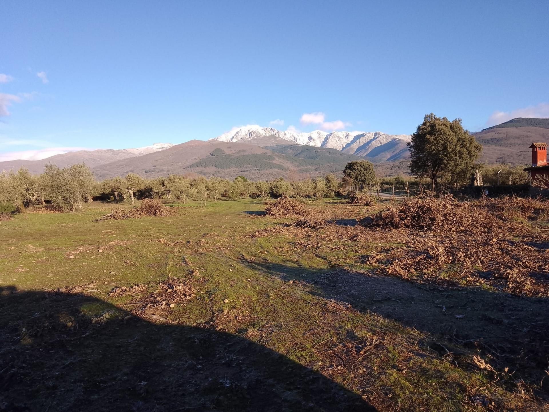 Piso en venta en Calle de Leganitos, 32, Palacio Piso en venta en Madrid Capital con Jardín privado