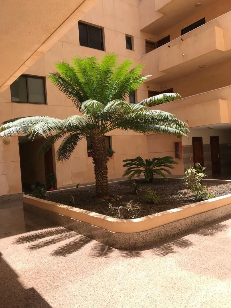 Apartament de lloguer en Granadilla de Abona amb Balcó