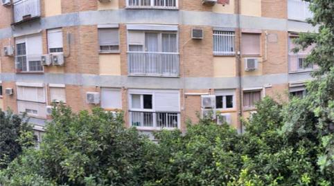 Piso en venta en Calle Maestro Guerrero, 1, Triana Oeste, Sevilla - imagen 5 Foto 5 de Piso en venta en Calle Maestro Guerrero, 1, Triana Oeste, Sevilla
