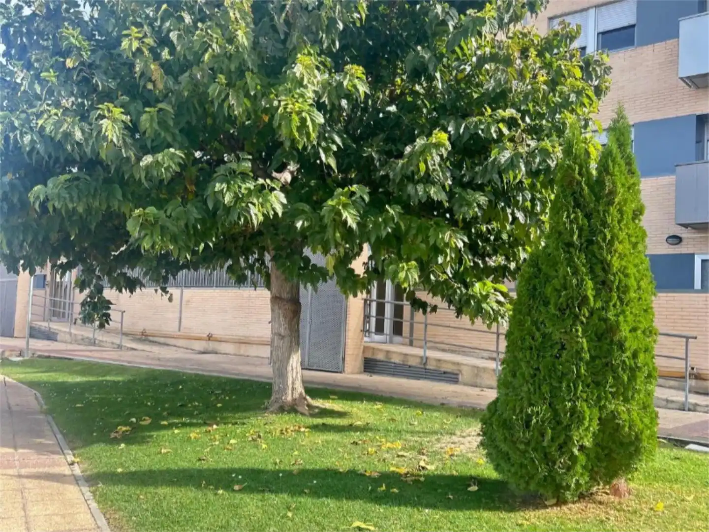 Pis en venda a Calle Ramón y Cajal, 70, Cadrete Vista exterior de Pis en venda en Cadrete amb Aire condicionat, Terrassa i Piscina