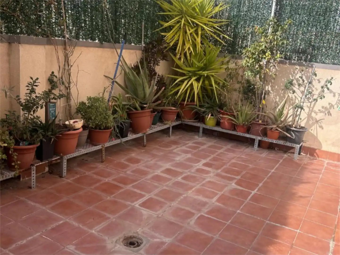 Pis en venda a Calle Ramón y Cajal, 70, Cadrete Terrassa de Pis en venda en Cadrete amb Aire condicionat, Terrassa i Piscina